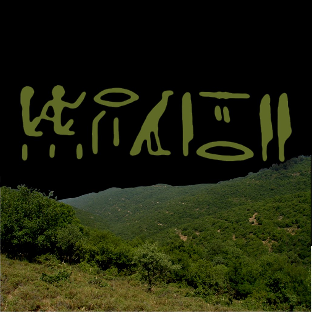 episode 15 cover