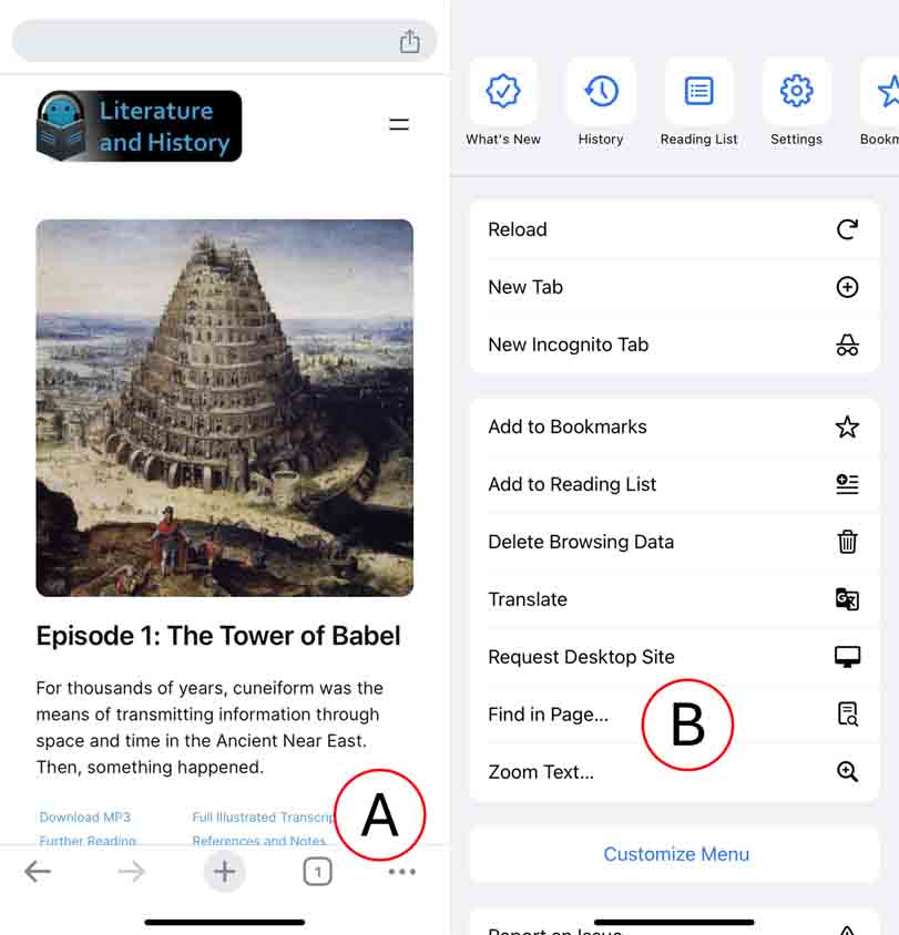 search page with iphone